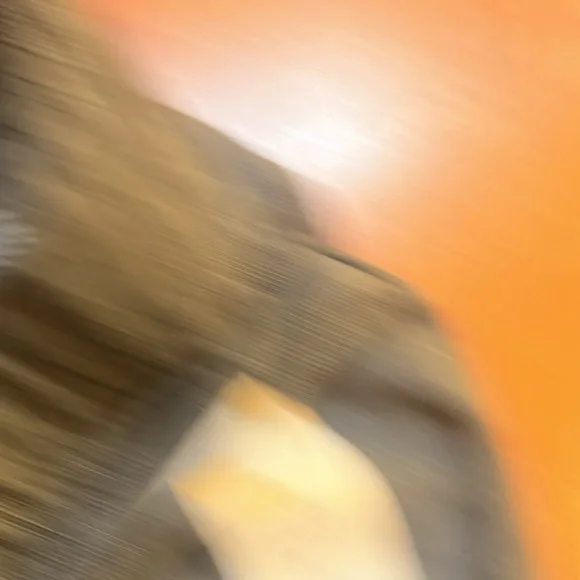 NWT jumping beans size 7 grey drawstring shorts - Picture 2 of 4